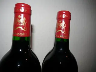 1993 Chateau Mouton Rothschild - Pauillac 1er Grand Cru Classé - 2 Flessen (0.75 liter)