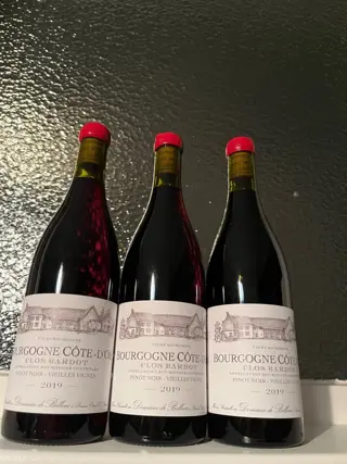 2017 x 3 & 2019 x 3 Domaine de Bellene - Bourgogne Rouge "Clos Bardot" - Bourgondië - 6 Fles (0,75 liter)