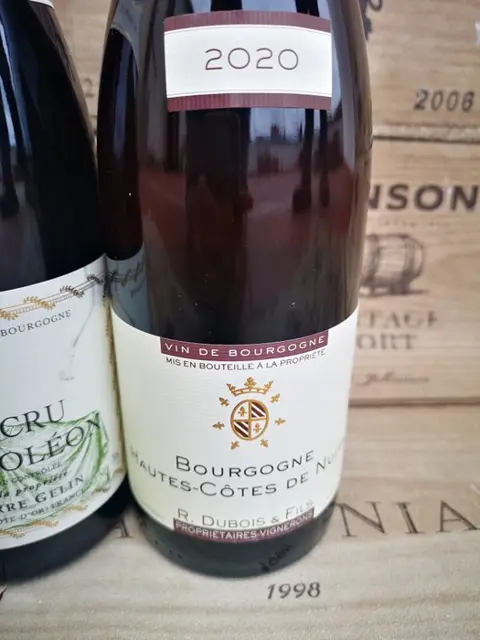 2014 Fixin 1° Cru "Clos Napoleon" Gelin, 1989 Savingy Les Beaune 1° Cru "Les Peuillets" Château de - Bourgogne Meursault & 2020 Bourgogne Hautes Côtes de Nuits Domaine R. Dubois et Fils - 3 Flessen (0.75 liter)