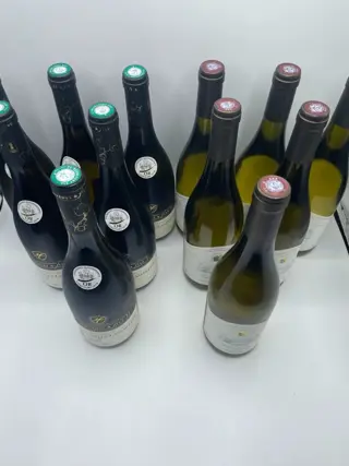 2019 x 6 Bourgogne Chardonnay Les domaines de la Tassée d'Or - 2016 x 6 Macon Milly La Martine - Bourgondië Thevenet & Fils - 12 Fles (0,75 liter)