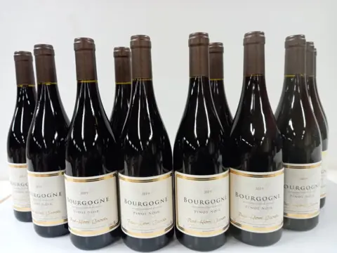 2019 Bourgogne Pinot Noir - Paul Henri Lacroix - Bourgondië - 12 Flessen (0.75 liter)