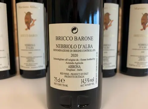2020 Marziano Abbona Nebbiolo d'Alba "Bricco Barone" - Piëmont - 6 Flessen (0.75 liter)