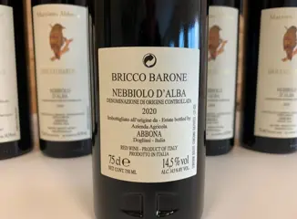 2020 Marziano Abbona Nebbiolo d'Alba "Bricco Barone" - Piëmont - 6 Flessen (0.75 liter)