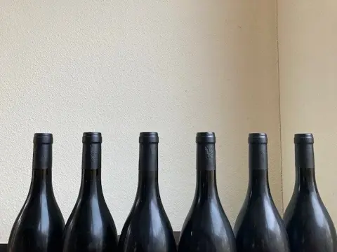 2017 Volnay 1° Cru "Taillepieds"- Domaine Sylvain Loichet - Bourgondië - 6 Flessen (0.75 liter)