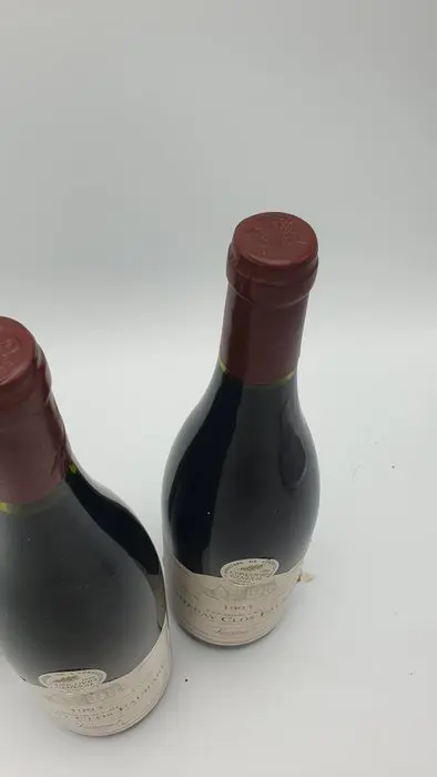 1993 Santenay 1° Cru "Clos Faubard" - Lucien Muzard et Fils - 3 Fles (0,75 liter)