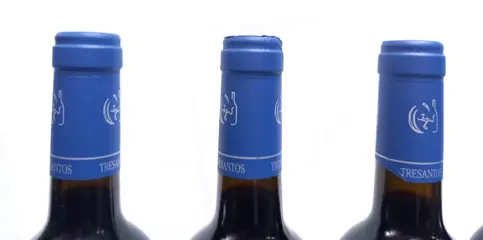 2004 Bodegas Viñas Zamoranas, Tresantos - Castilla y León Vendimia Seleccionada - 6 Flessen (0.75 liter)