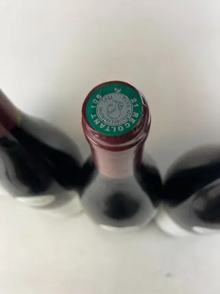 2004 Savigny-Lès-Beaune - Domaine Capron-Charcousset - Bourgondië - 6 Fles (0,75 liter)