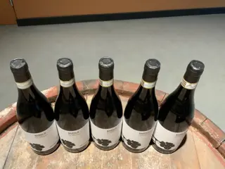 2013 Brandini, Del Comune Di La Morra - Barolo - 5 Flessen (0.75 liter)