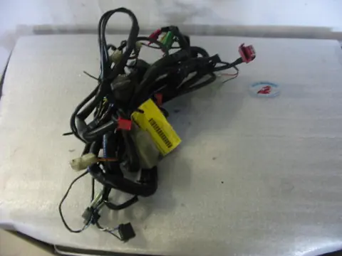 Wire Harness Honda CBR 600 F 1995 - 1998