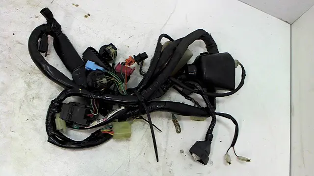 Wire Harness Honda CBR 600 F 1999 - 2000
