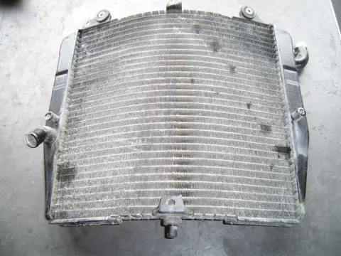 Radiator Suzuki RF 600 1993 - 1997