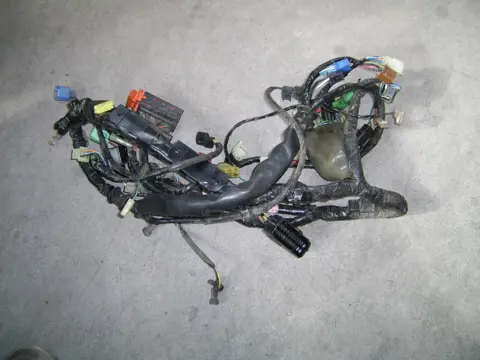 Wire Harness Honda CBF 500 2004 - 2008