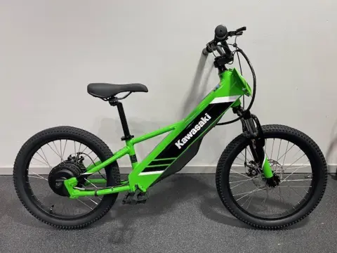 Kawasaki Elektrode 20 (bj 2026)