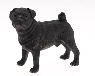 Beagle, Poedel, Saluki, Herder, Staffordshire Terriër..