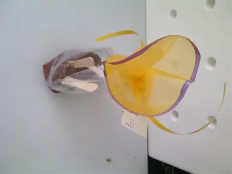 Exotisch kerstpakket