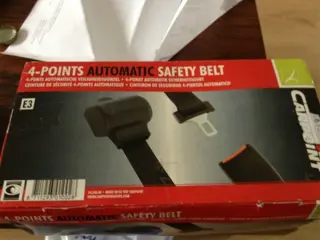 Carpoint 4 punts gordel