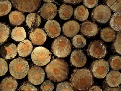 Gratis openhaard hout