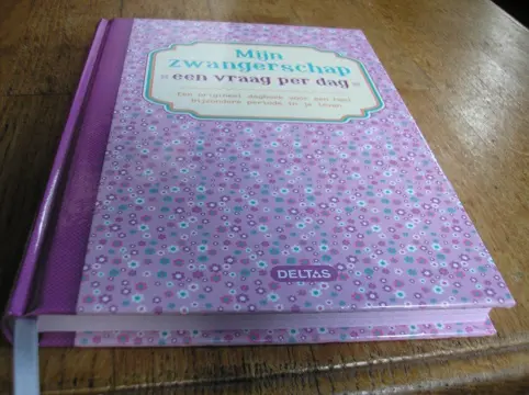 Mijn zwangerschap - een vraag per dag