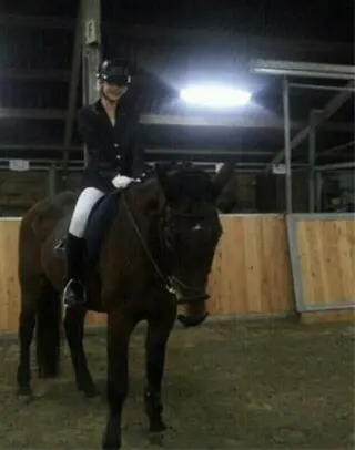 Gezoch bijrijdpaard/pony