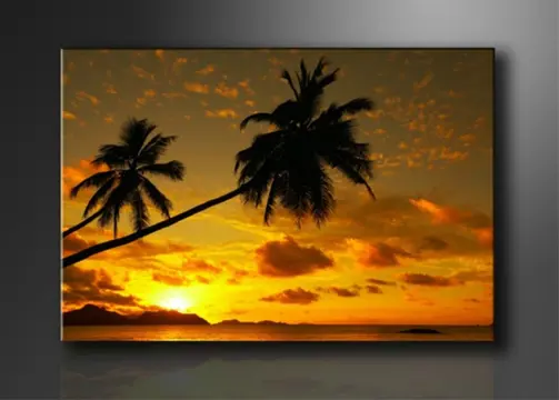 Nieuw canvas schilderij Zonsondergang Palmboom 120 x 80 cm