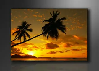 Nieuw canvas schilderij Zonsondergang Palmboom 120 x 80 cm