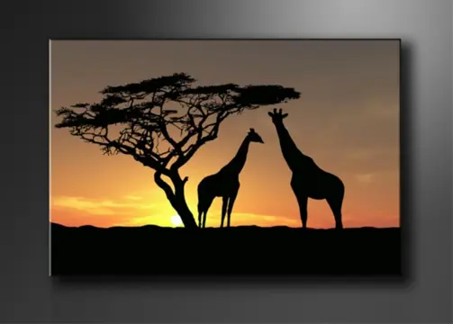 Nieuw canvas schilderij Afrika Giraffe 120 x 80 cm