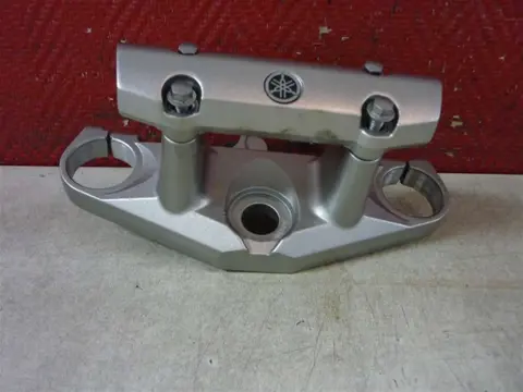 KROONPLAAT Yamaha FAZER 600 2008 - 2009