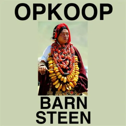 De beste prijs voor uw sieraden met barnsteen!