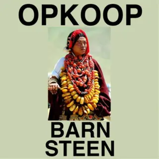 De beste prijs voor uw sieraden met barnsteen!