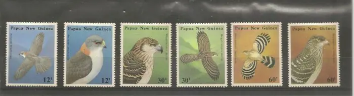 Roofvogels uit Papua New Guinea