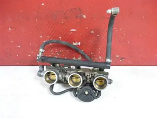 GASKLEPHUIS Triumph Tiger 955i 1999 - 2005