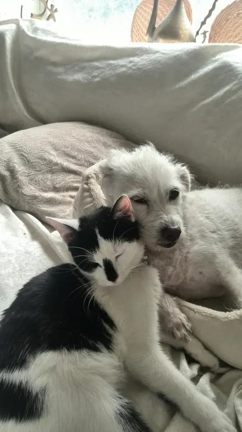 Charlie 1 jaar vermist