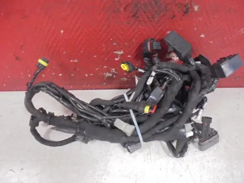 KABELBOOM Ducati Multistrada 1200 2010 - 2012
