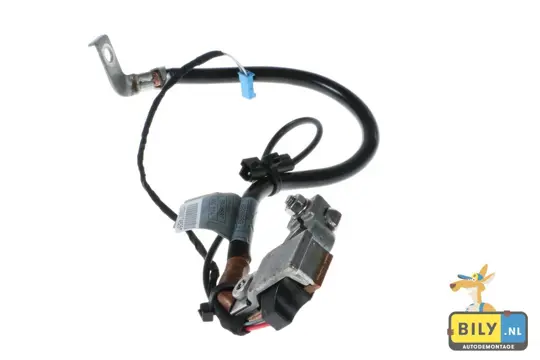 BILY Autodemontage: IBS Kabel tot 11-'06