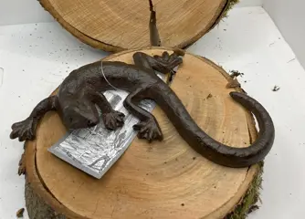 GIETIJZEREN HAGEDIS MIDDEL 2 NIEUW