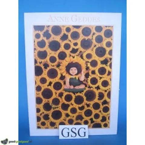 Anne Geddes zonnebloemen 900 st nr. 57624