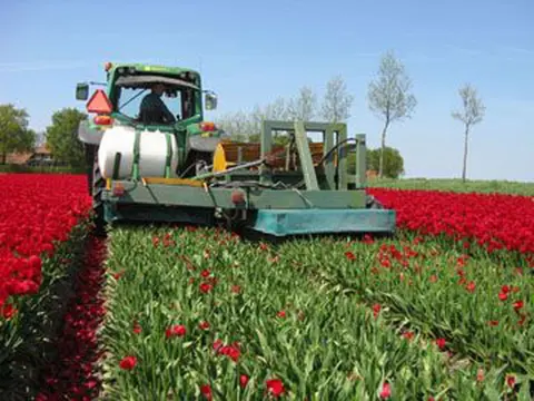 AGRICULT LVS Laag Volume Onkruidbestrijding