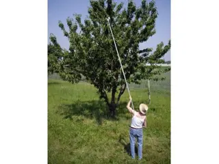 Innovatieve fruitgrijper mechanische hand voor fruitboom