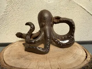 GIETIJZEREN OCTOPUS NIEUW