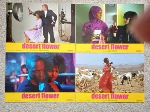 DESERT   FLOWER     lobbycard set.
