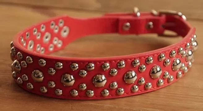 Leren hondenhalsband " Conical studs " Rood