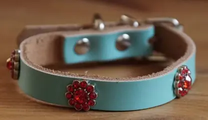 Leren kattenhalsband " Strass bloemen rood " Licht blauw
