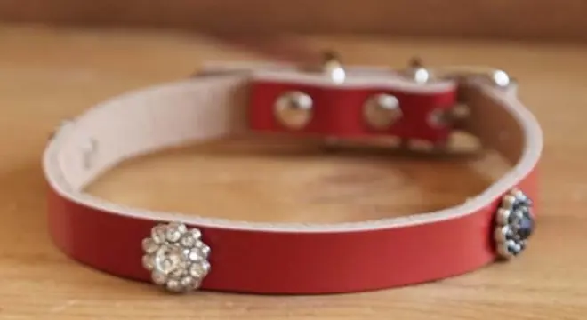 Leren kattenhalsband " Bloem strass wit / zwart " Rood