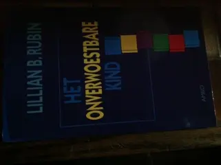 Lilian b. Rubin - het onverwoestbare kind