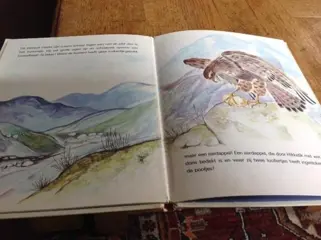 Henri cornelus - van een kuikentje en een buizerd