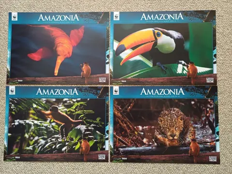 AMAZONIA     lobbycard set.