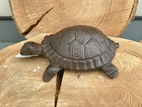 GIETIJZEREN SCHILDPAD TURTLE NIEUW