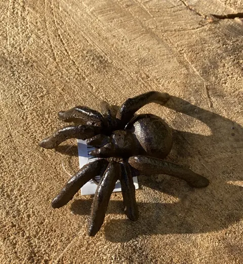 GIETIJZEREN SPIN SPIDER M NIEUW