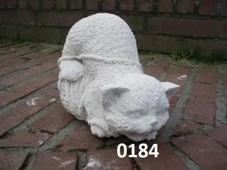 KAT OP WOL. POES OP WOL.