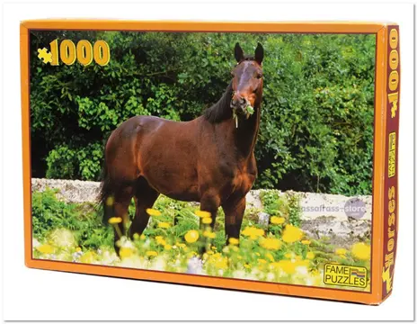 Look at me - Fame - 1000 Stukjes